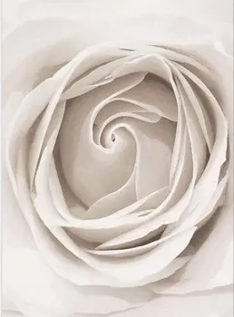 Diamond Slikarstvo Celoten Kvadratni/Krog Vaja White Rose Cvet 5D Daimond Slikarstvo Vezenje Navzkrižno Šiv Sliko Wall Art Z1707